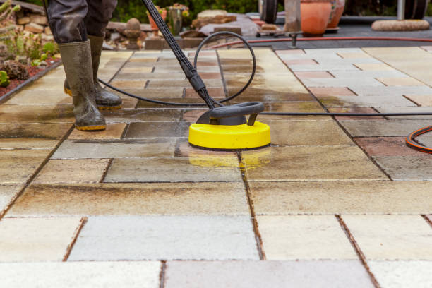 Animal Enclosure Cleaning in Ten Mile Run, NJ